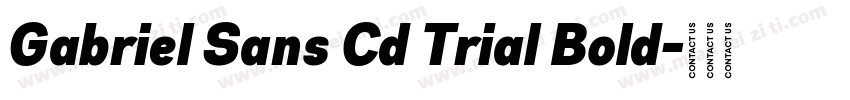 Gabriel Sans Cd Trial Bold字体转换
